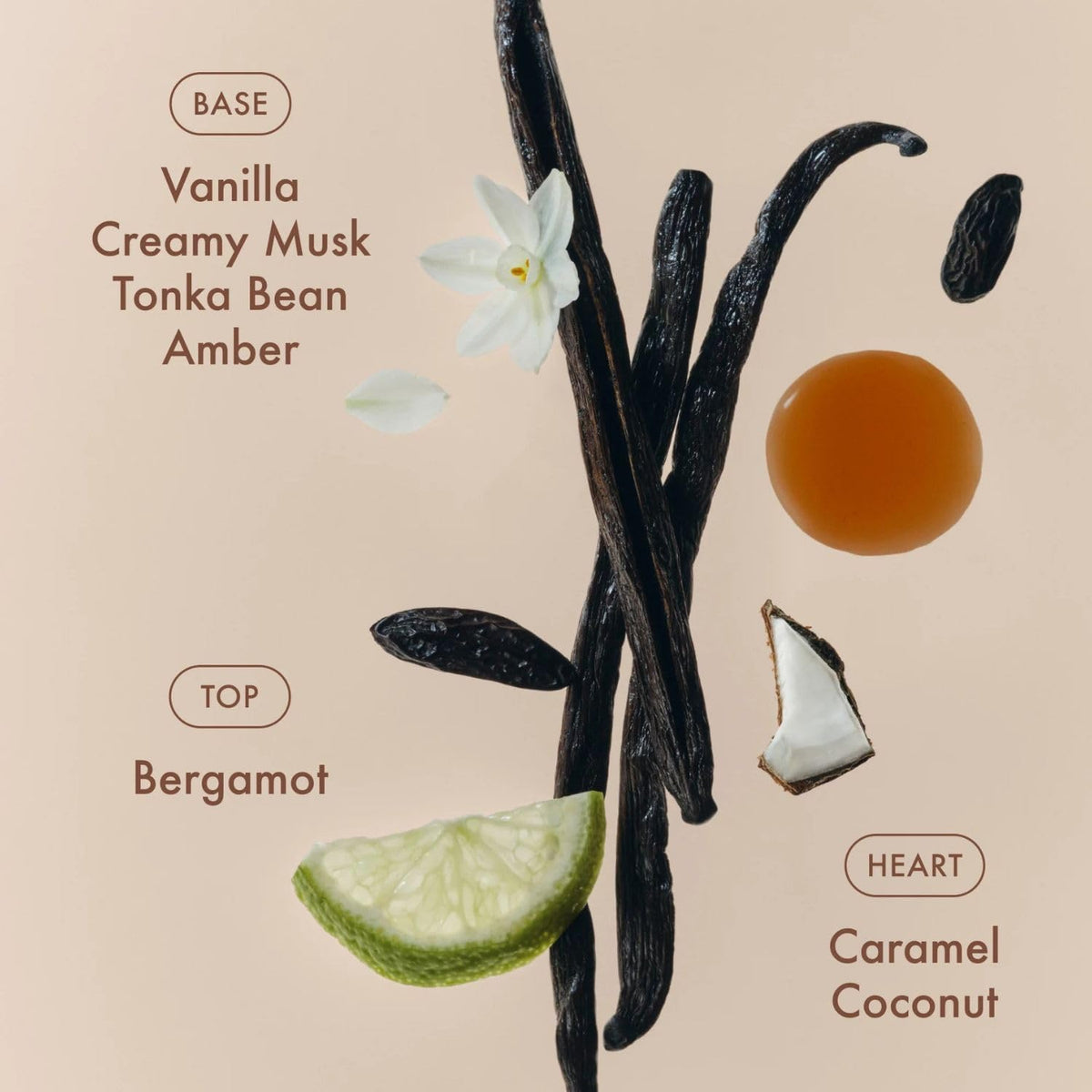 Vanilla Eau de Parfum 10 ml T37153