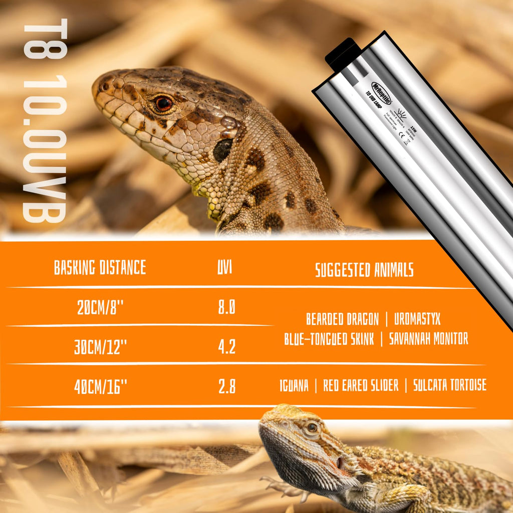 15W UVB Reptile Light Kit 18 inches B111933