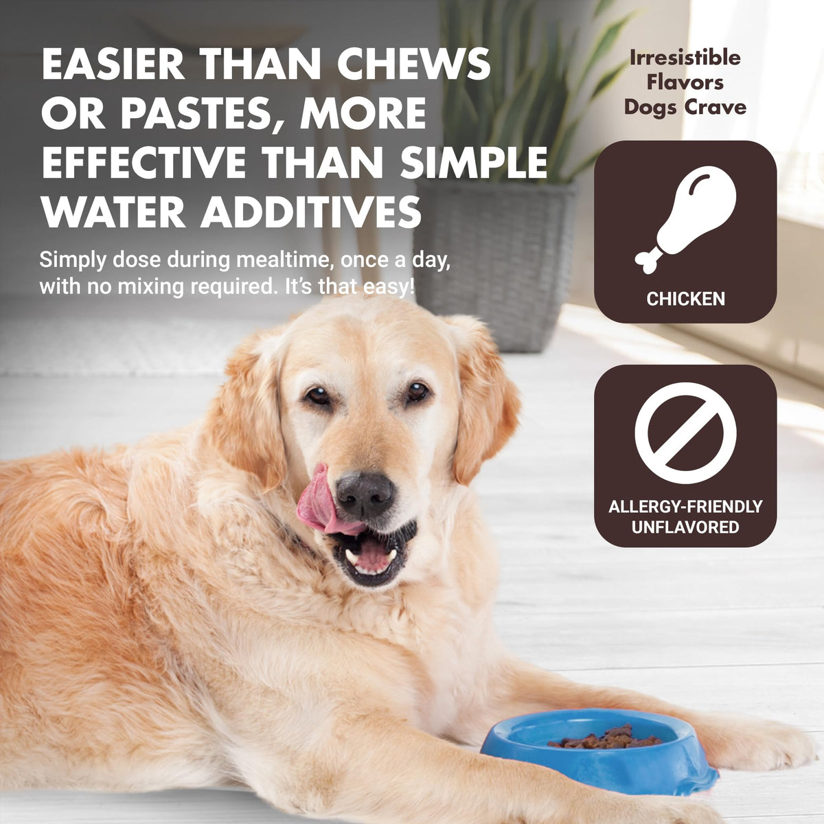 10-in-1 Dog Support 32 oz Unflavored J663