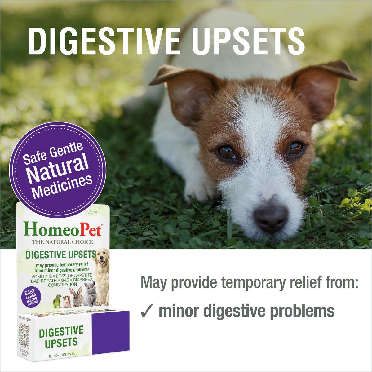15 Milliliters Digestive Upsets for Dogs, Cats, and Small Pets L8446